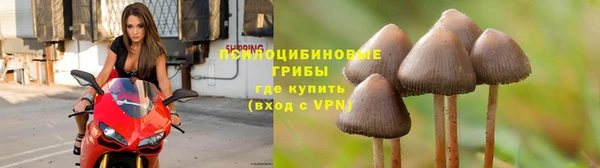 ГАЛЛЮЦИНОГЕННЫЕ ГРИБЫ Великий Новгород