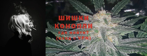 твердый Горняк