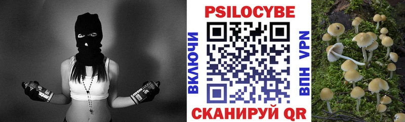 купить закладку Нижняя Салда Галлюциногенные грибы Psilocybe